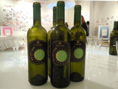 VERDE LUNA: L'EVOLUZIONE DI CAMINELLA (BG)... VERDE LUNA: L'EVOLUZIONE DI CAMINELLA (BG)...